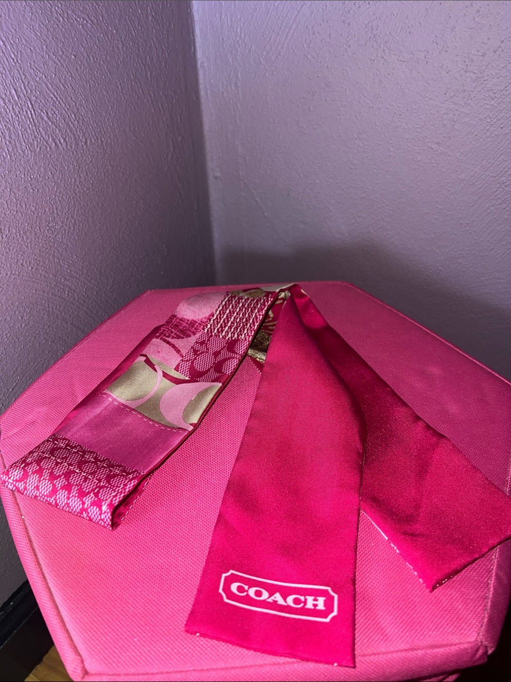 Coach Silk Purse Scarf